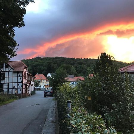 Ferienwohnung-Willgeroth Ilsenburg Esterno foto
