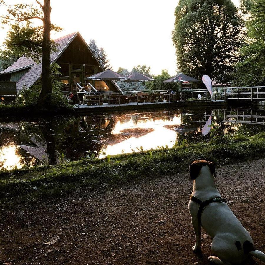 Ferienwohnung-Willgeroth Ilsenburg Esterno foto
